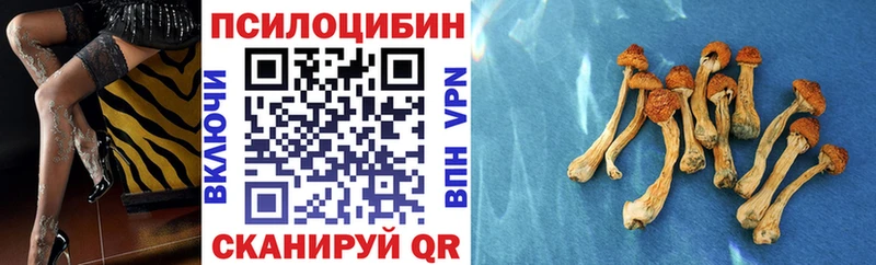 kraken ссылки  что такое   Инза  Галлюциногенные грибы GOLDEN TEACHER 